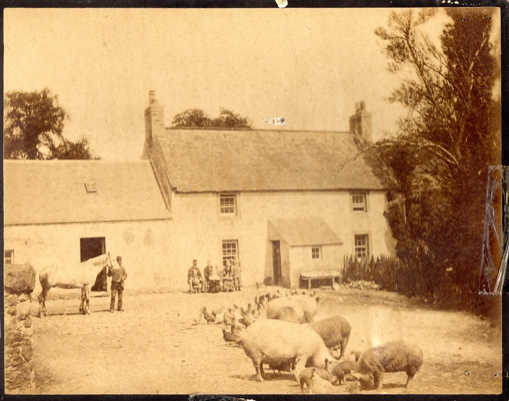 Gowanlocks of Duncanhaugh Mill Farm, Yetholm
